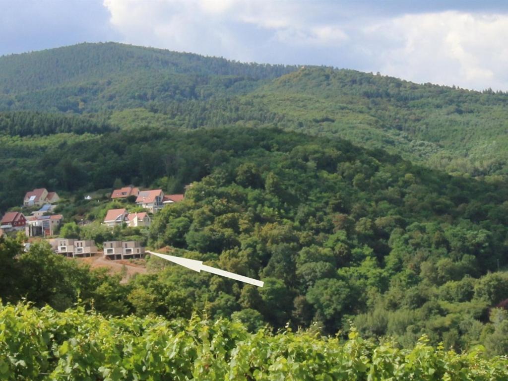 Alsace Panorama Villa Barr Ngoại thất bức ảnh