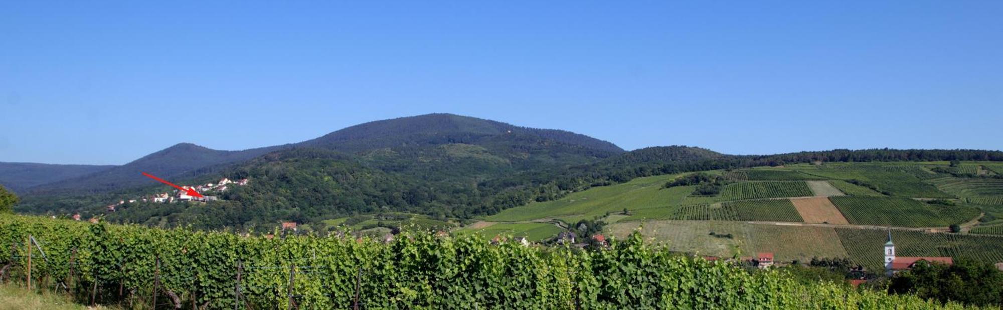 Alsace Panorama Villa Barr Ngoại thất bức ảnh